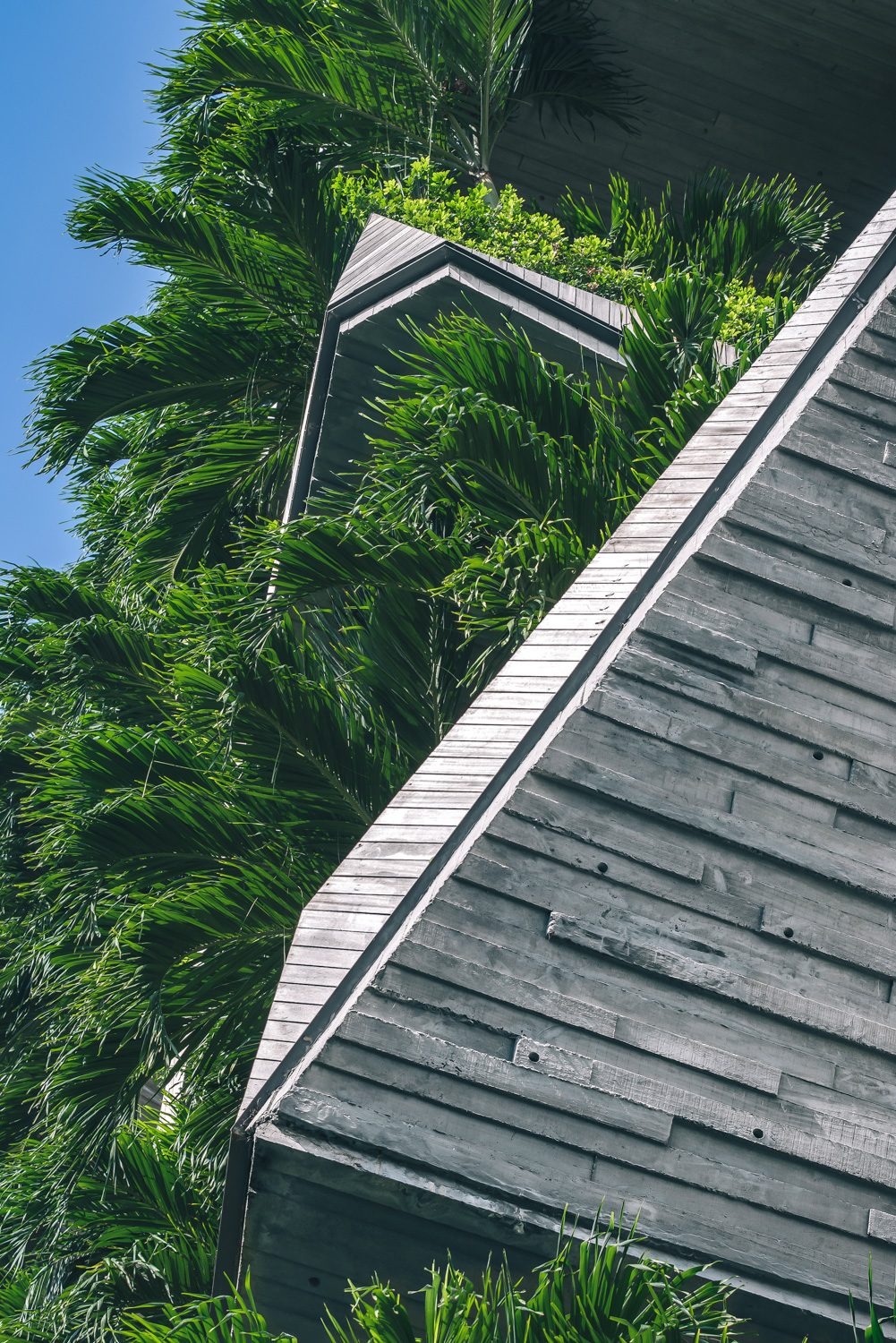 Close-up of the timber-slat balcony fins amid dense greenery